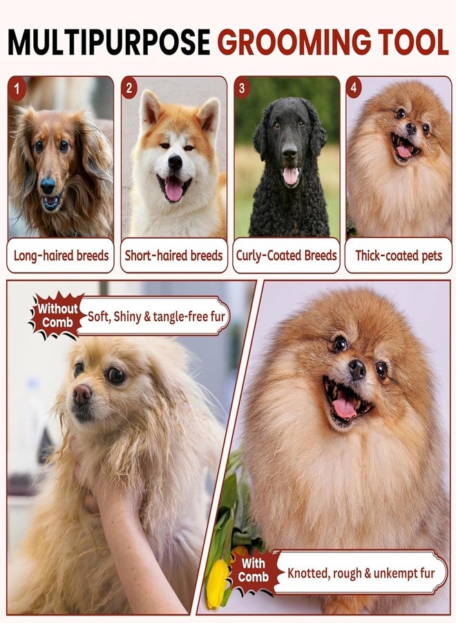 PET FUN مشط PET FUN® ذو الوجهين للعناية بالحيوانات الأليفة (الكلاب والقطط) | أسنان من الفولاذ المقاوم للصدأ مع مقبض مانع للانزلاق | مشط لفك تشابك الشعر وإزالة الشعر المتساقط للحيوانات الأليفة ذات الشعر الطويل والقصير | مشط مزدوج المفعول للعناية بالشعر ومكافحة البراغيث (قد يختلف اللون) - Image 5